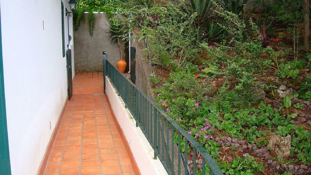 Apartamento Charmoso No Funchal, Com Grande Jardim E Vista Esplendida Exterior photo
