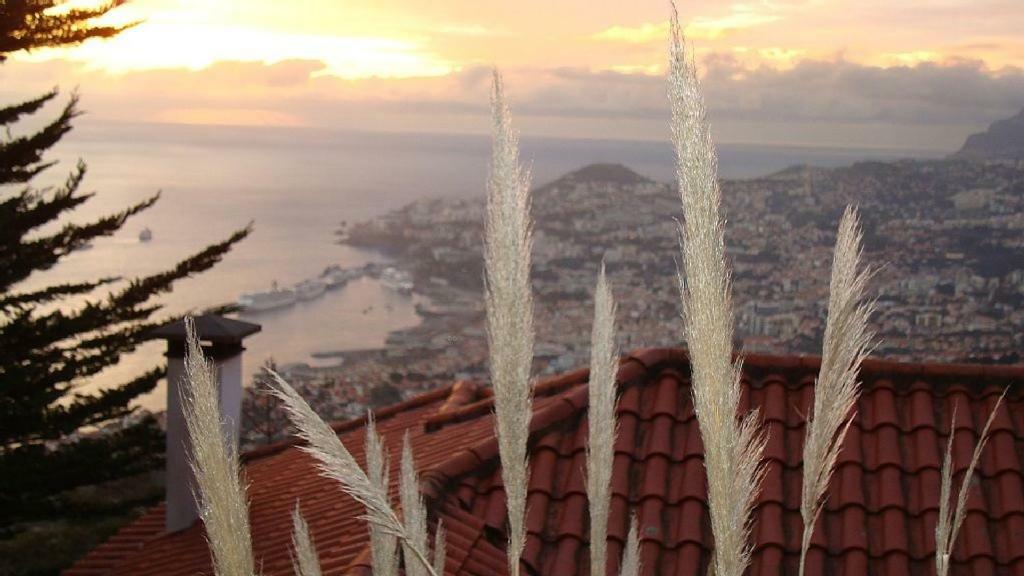 Apartamento Charmoso No Funchal, Com Grande Jardim E Vista Esplendida Exterior photo